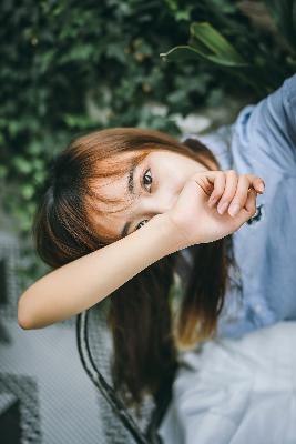 仙台有树电视剧免费观看全集高清完整版